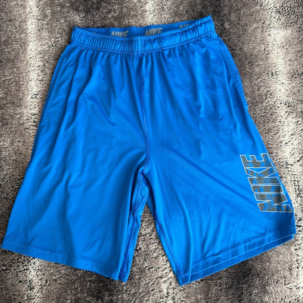 Nike Men's Blue Athletic Shorts